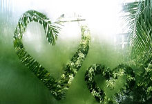 Athena's Online Login: Unlocking the Wisdom Online