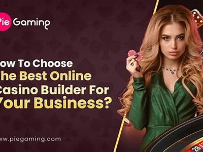 Explore the Exciting World of Z11 Casino: Top Games, Bonuses, and Strategies