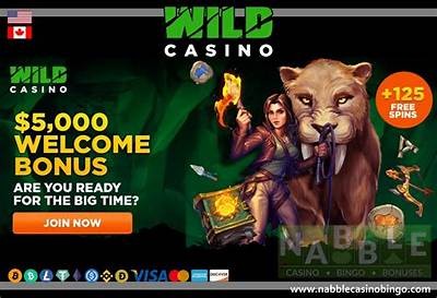 Discover the Exciting Willbet Casino Bonus Code for Enhanced Gaming Experience