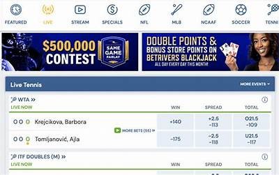 Place your bets at Willbet Casino online