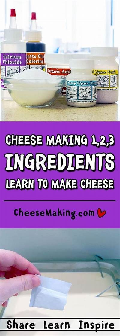 Discover the Secrets to Successfully Obtaining the Best Cheese for Your Dishes